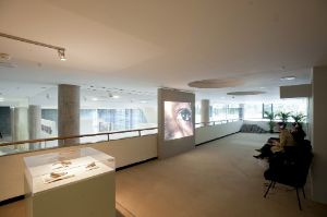 Berlin Documentary Forum 2. A Blind Spot - Installation View - Vincent Meessen