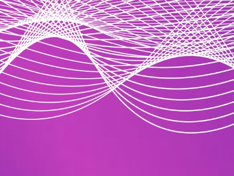 Graphic Design: Iris Buchholz