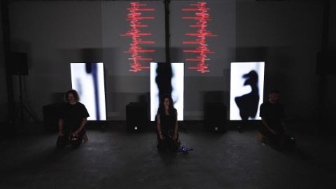 Interspecifics, Entrainment. Foto: Samuel Shumate