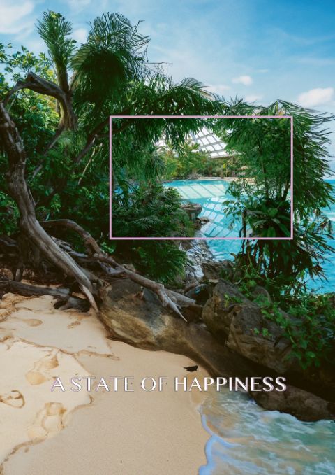 Niklas Goldbach, A State of Happiness (2024)