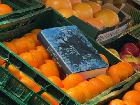 Anna Melikova: Ich ertrinke in einem fliehenden See. Aus dem Russischen und Ukrainischen von Christiane Pöhlmann. Berlin: Matthes & Seitz, 2024