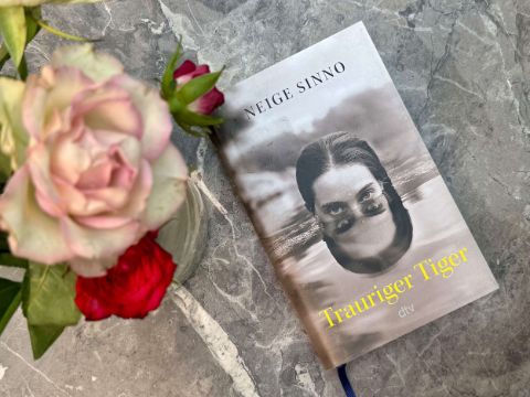 Neige Sinno: Trauriger Tiger. Aus dem Französischen von Michaela Meßner. München: dtv Verlag, 2024
