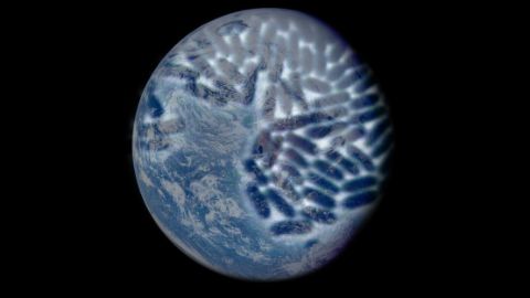  John Feldman, Symbiotic Earth (2018). Bild: © Bullfrog Films