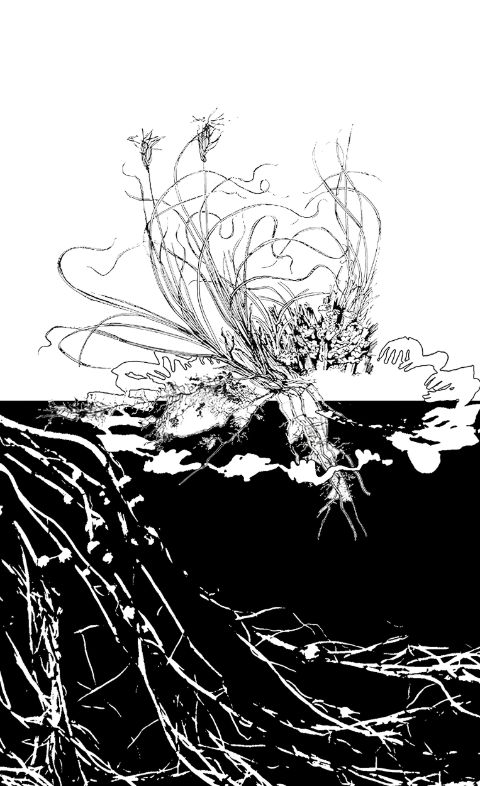 Illustriert von Rachel Liliam