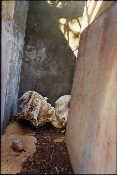 Abrie Fourie, Former 32 Battalion Military Base (SADF), Bwabwata National Park, Namibia (2024)