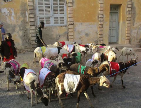 Anguezomo Nzé Mba Bikoro, Madame Tirailleurs (2018), video still. Courtesy of the artist and Galerie Au fil du Fleuve, Saint-Louis, Senegal