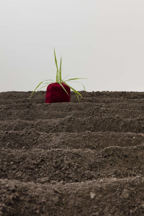 Binta Diaw, 1. 12. 44., Les tirés ailleurs, exhibition view, ChertLüdde/Bungalow, Berlin, 2022. © VG Bild-Kunst, Bonn 2026, courtesy of the artist and ChertLüdde