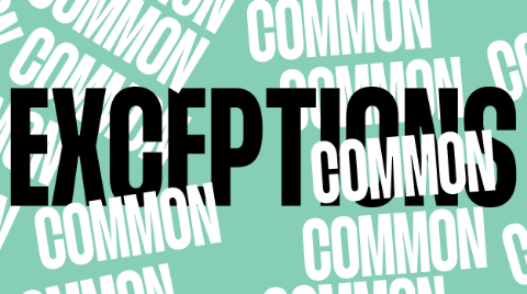 Common Exceptions Logo