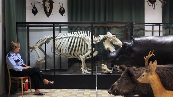 Natural History Museum, Lodz 2013, film still | &copy; Magda Kulak
