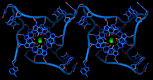 DNA quadruplex formed by telomere repeats | Thomas Splettstoesser, CC BY-SA 3.0